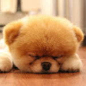 Meet your Posher, Claudia